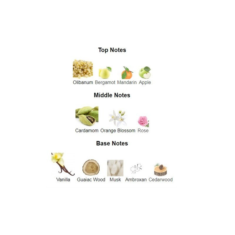 عطر مردانه لطافه آرت آف نیچر Lattafa Art of Nature II