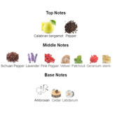 عطر مردانه فراگرانس ورد ساواژ Fragrance World Sauve