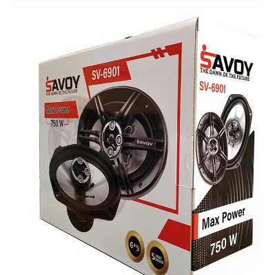 باند اسپیکر ساووی مدل SV-6901 بیضی بسته دو عددی