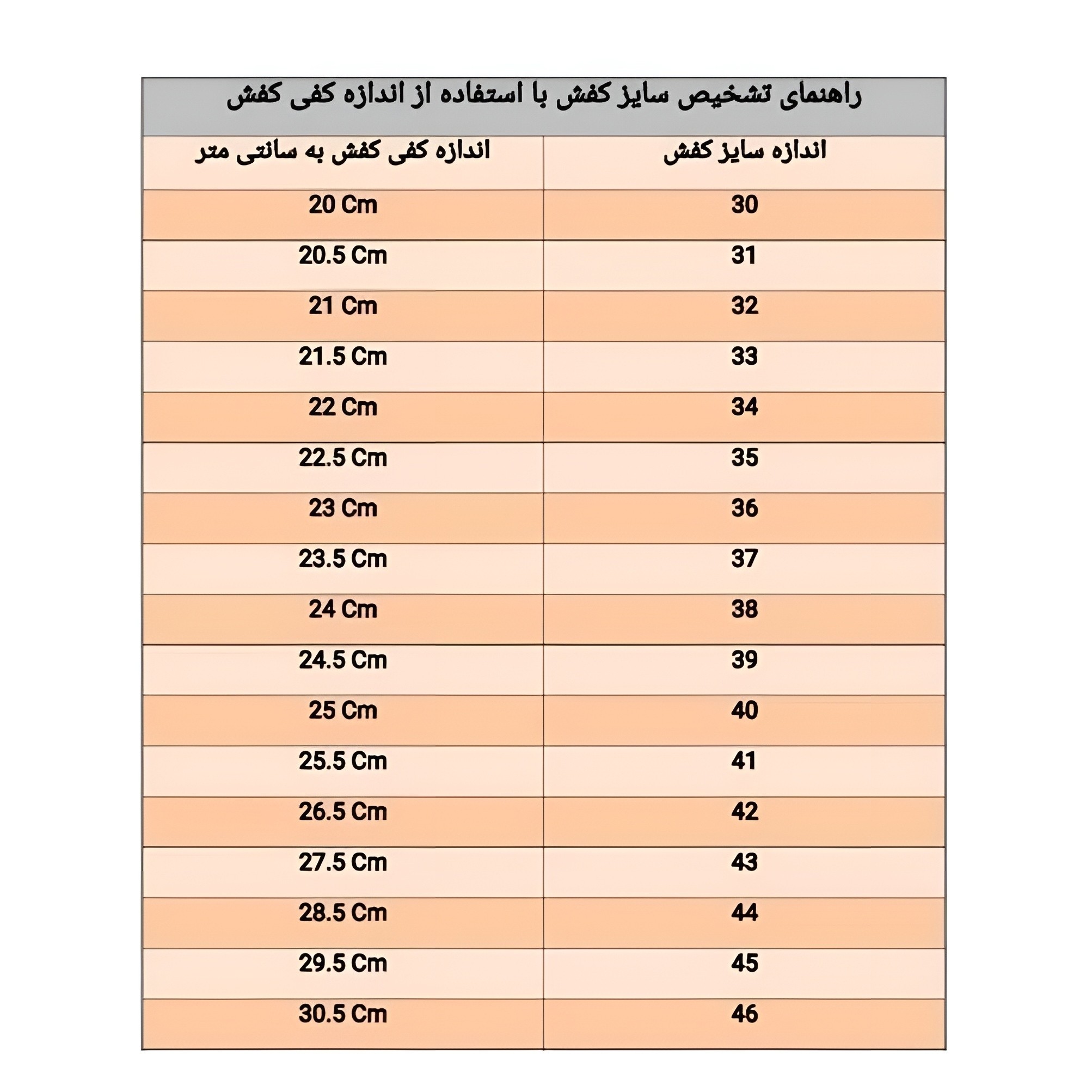 کفش والیبال و بسکتبال آسیکس متارایز وارداتی اعلا سایز 35 تا 45 (ارسال رایگان و خرید قسطی)