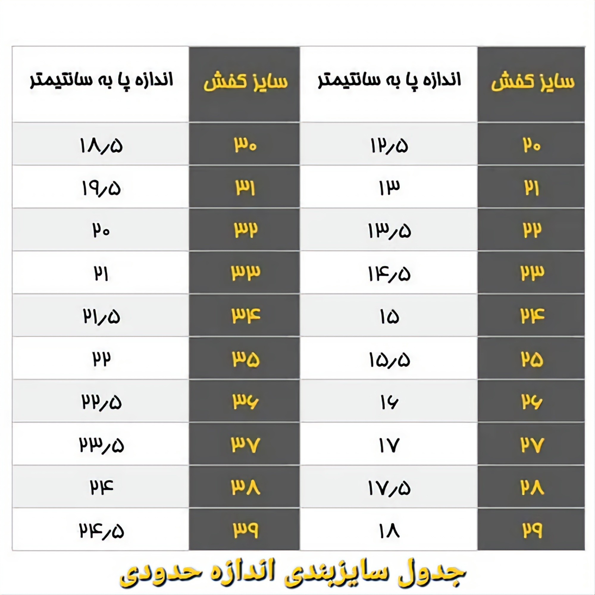 کفش بچگانه ضدآب ( ویژه )