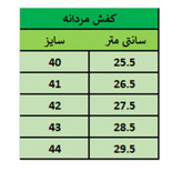 کفش مردانه رسمی مدل سورن کشی رنگ عسلی (پس کرایه)